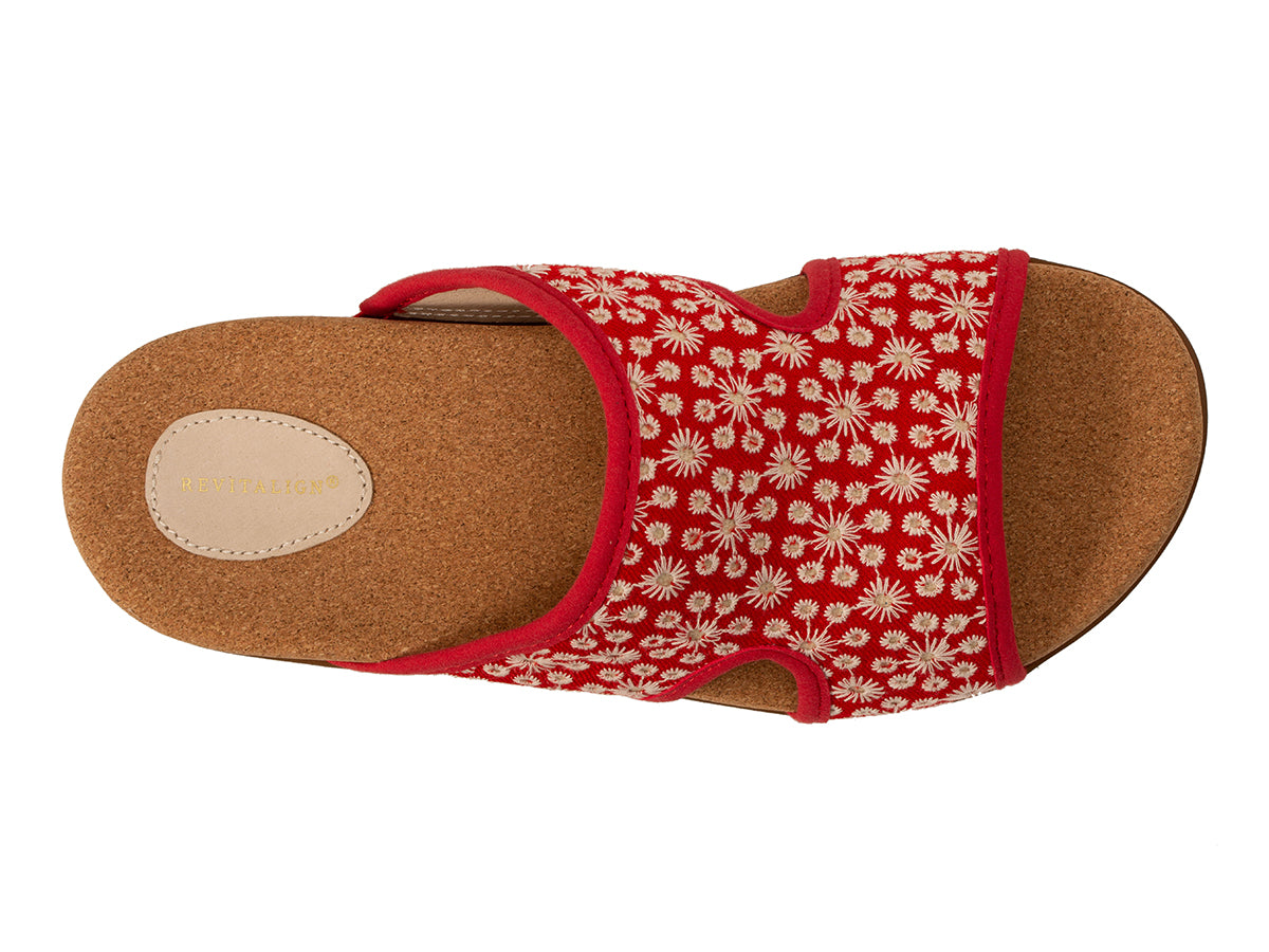 Daisy Slide